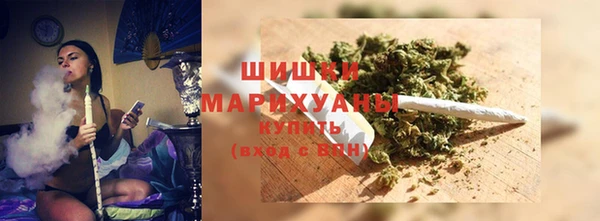наркотики Бородино