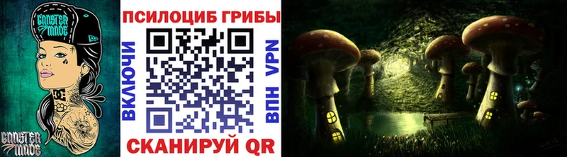 Галлюциногенные грибы MAGIC MUSHROOMS  Купить где  Нефтекумск 